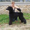 foire-haricots 2011-09-17et18